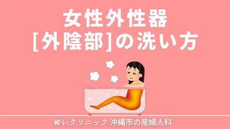 美女的陰部|女性の外性器